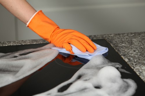 Professional cleaners performing a deep clean