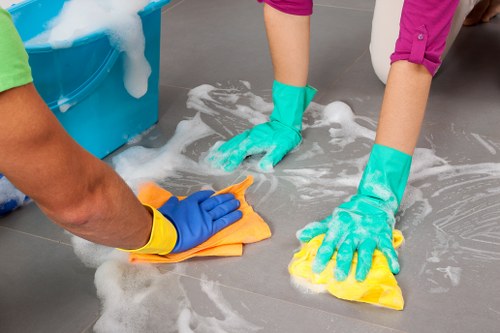 Eco-friendly cleaning products in use