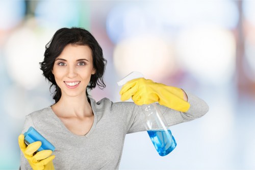 Professional oven cleaner applying solution