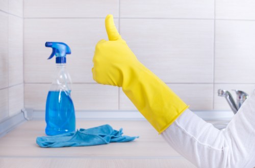 Professional cleaners ensuring a spotless property