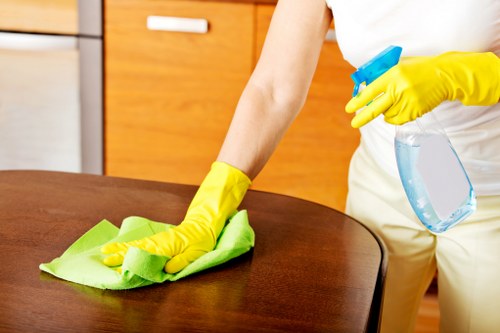Professional cleaning team at work on a building