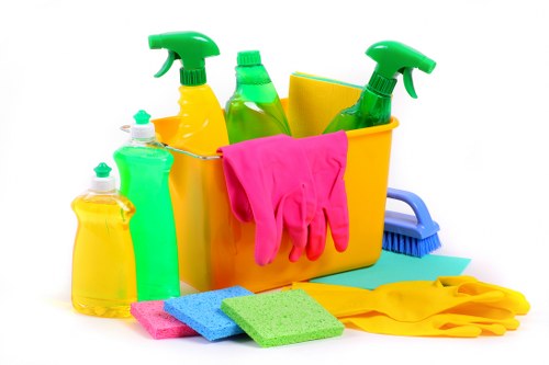 Advanced steam cleaning equipment used for rug maintenance